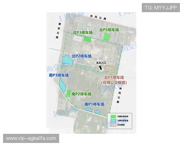 博鱼真人官方入口安全可靠，畅享真实娱乐体验的新选择