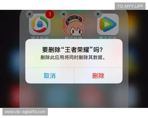 ag旗舰厅中国官网入口全面解析，保障玩家资金安全与游戏公平性的最佳选择